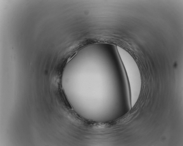 X0000091080235200708061053