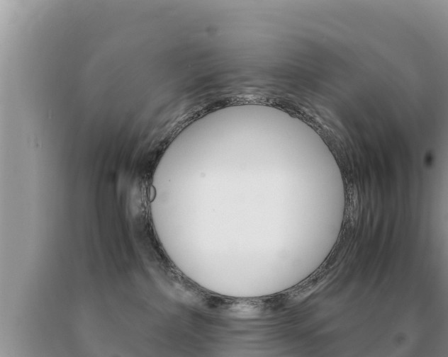 X0000091080236200708061053