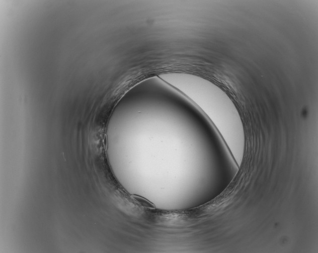X0000091080237200708061053