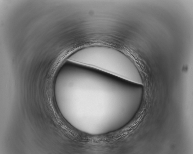 X0000091080241200708061052