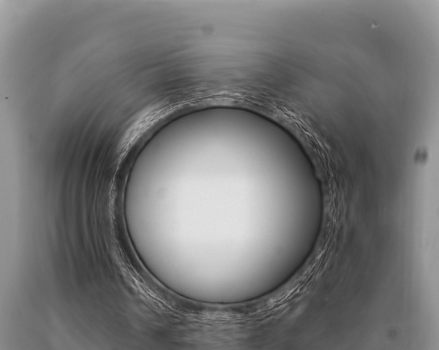 X0000091080242200708061052