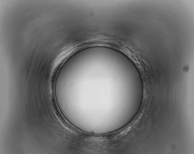 X0000091080245200708061052