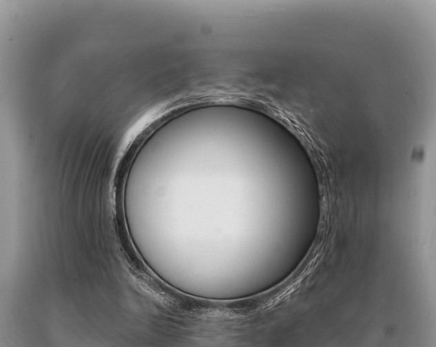 X0000091080246200708061052