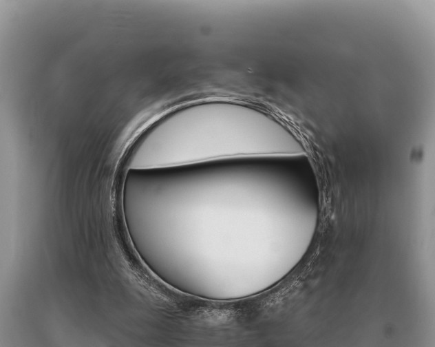 X0000091080247200708061052