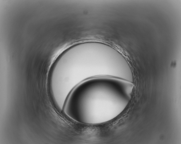 X0000091080248200708061052