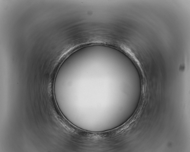 X0000091080249200708061052