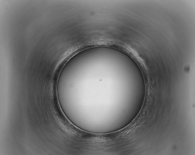 X0000091080250200708061052
