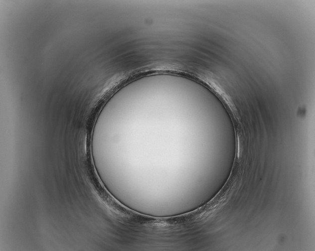 X0000091080253200708061052