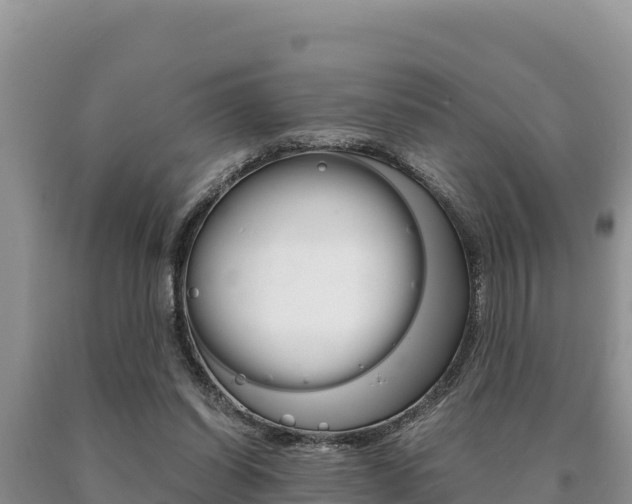X0000091080254200708061052
