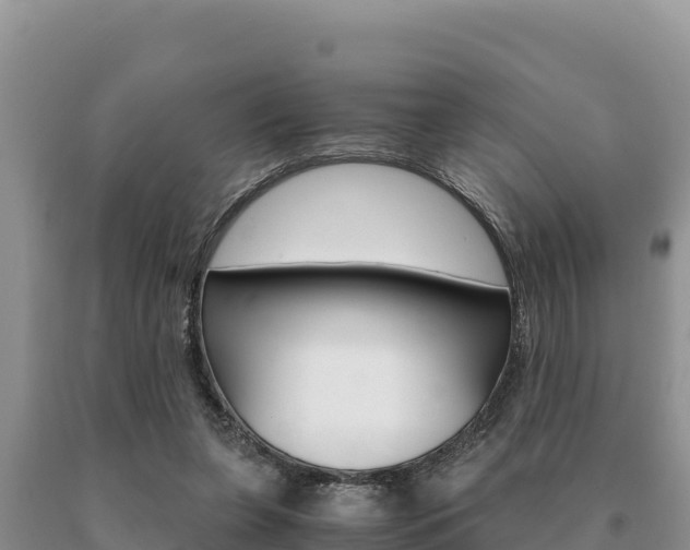 X0000091080255200708061052