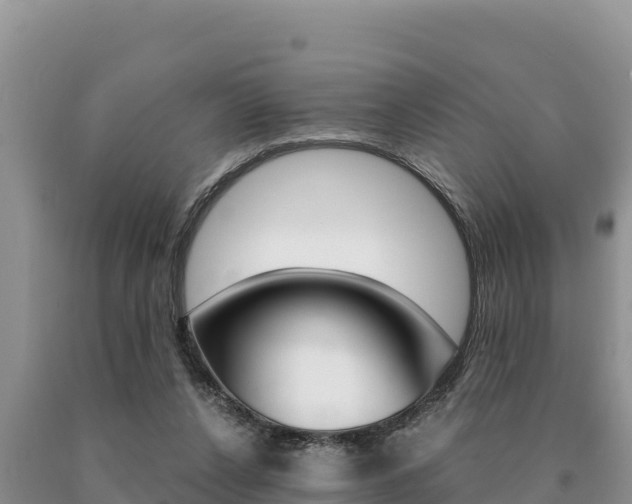 X0000091080256200708061052