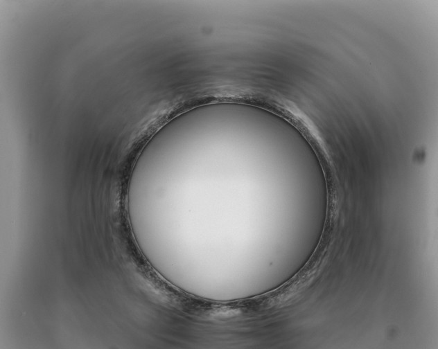 X0000091080257200708061052