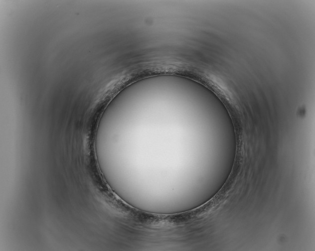 X0000091080258200708061052
