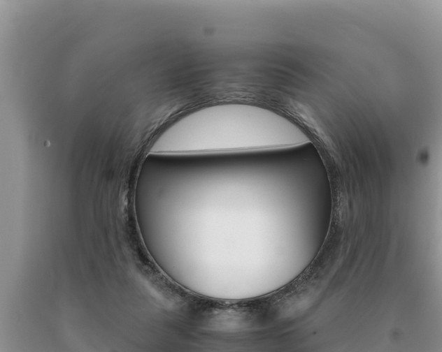 X0000091080259200708061052