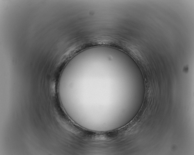 X0000091080262200708061052