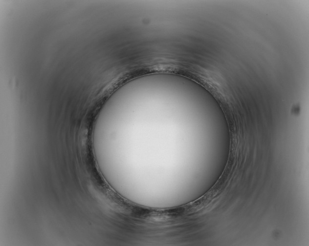 X0000091080263200708061052