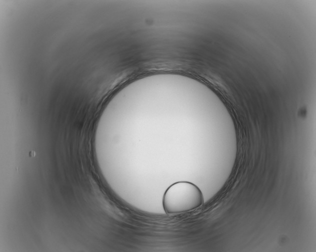 X0000091080264200708061052
