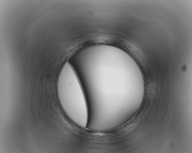X0000091080265200708061052