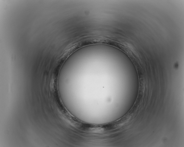 X0000091080266200708061052