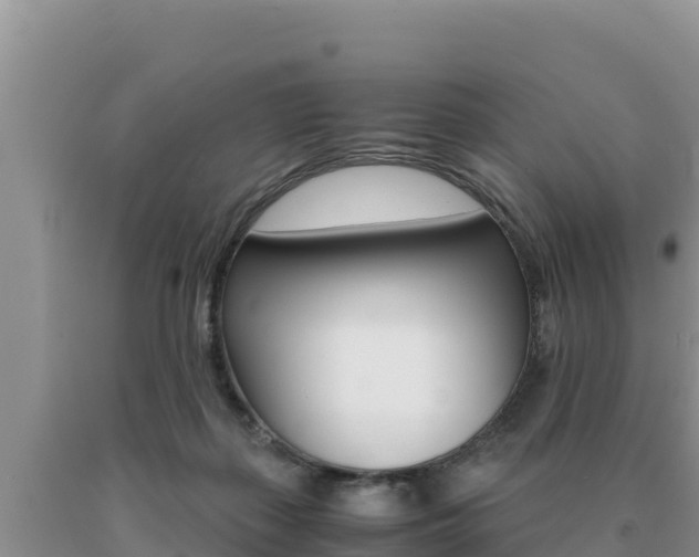 X0000091080267200708061052