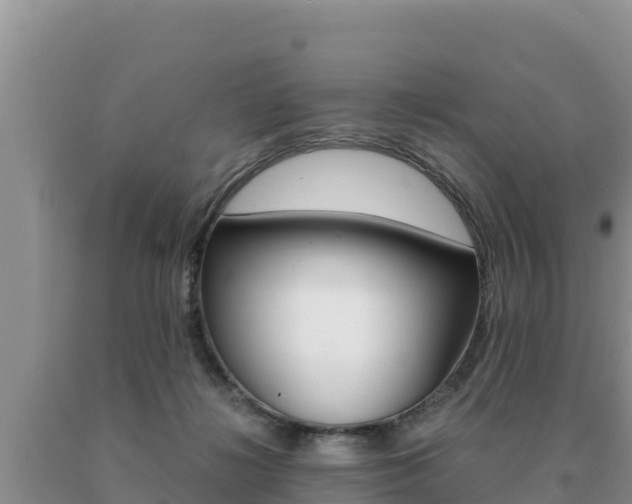 X0000091080268200708061052