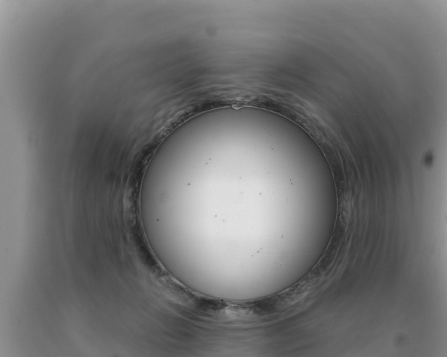 X0000091080270200708061052