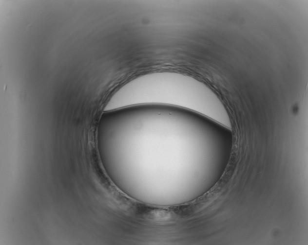 X0000091080272200708061052