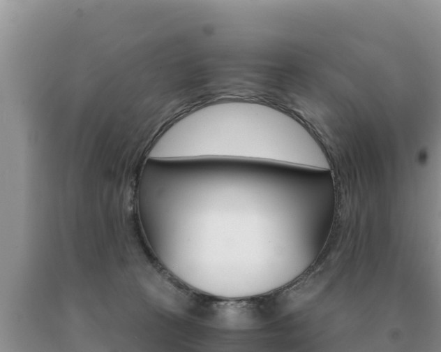 X0000091080273200708061052