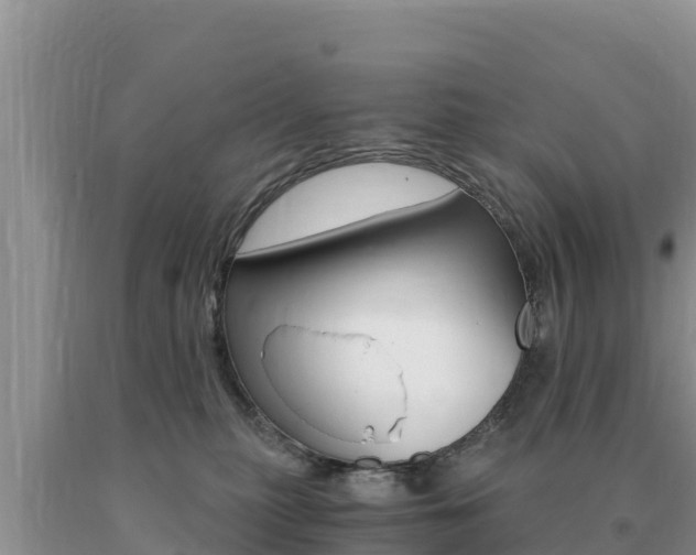 X0000091080279200708061052