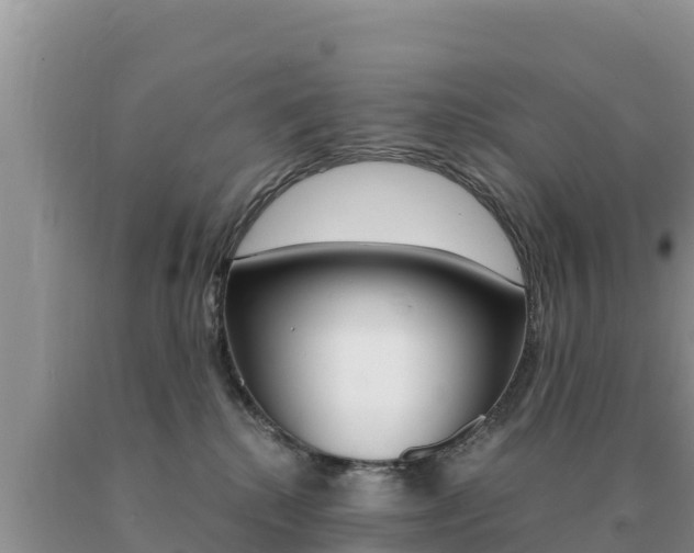 X0000091080280200708061052