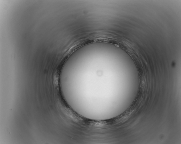 X0000091080282200708061053