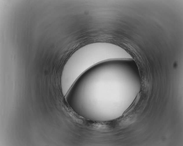 X0000091080284200708061053