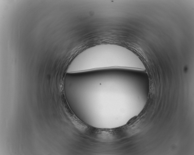 X0000091080285200708061053