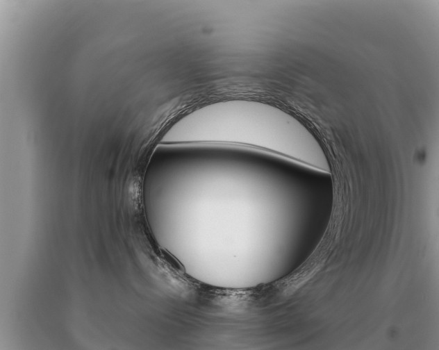 X0000091080288200708061053