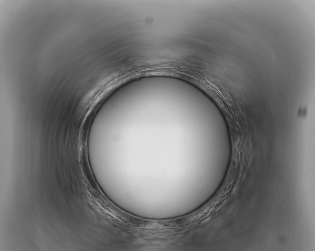 X0000091080290200708061052
