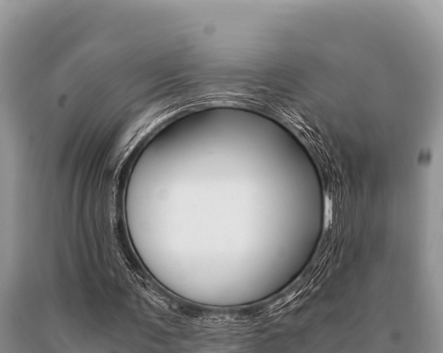 X0000091080291200708061052