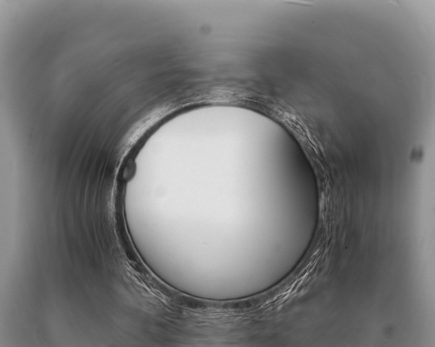 X0000091080292200708061052