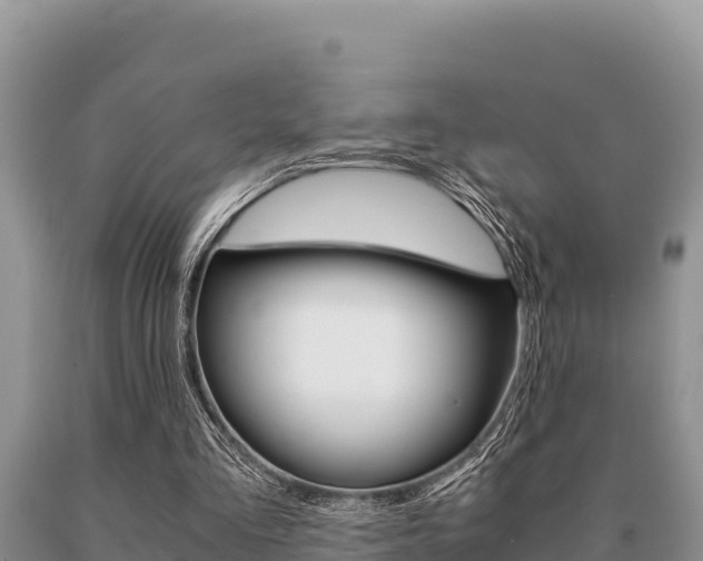 X0000091080293200708061052