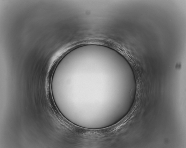 X0000091080294200708061052
