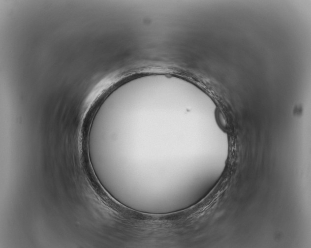 X0000091080296200708061052