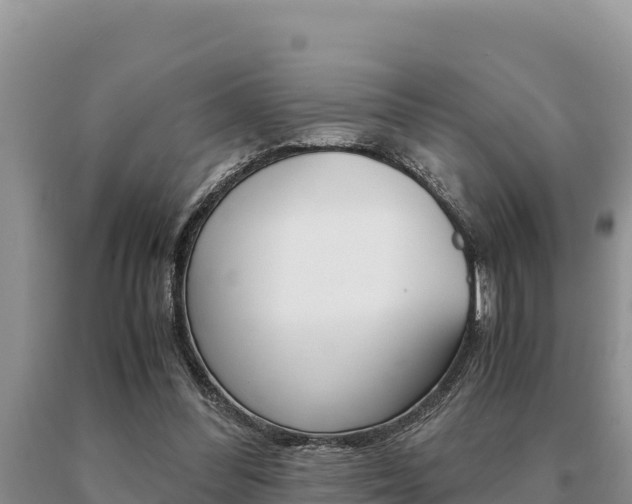 X0000091080300200708061052