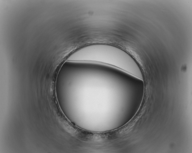 X0000091080305200708061052