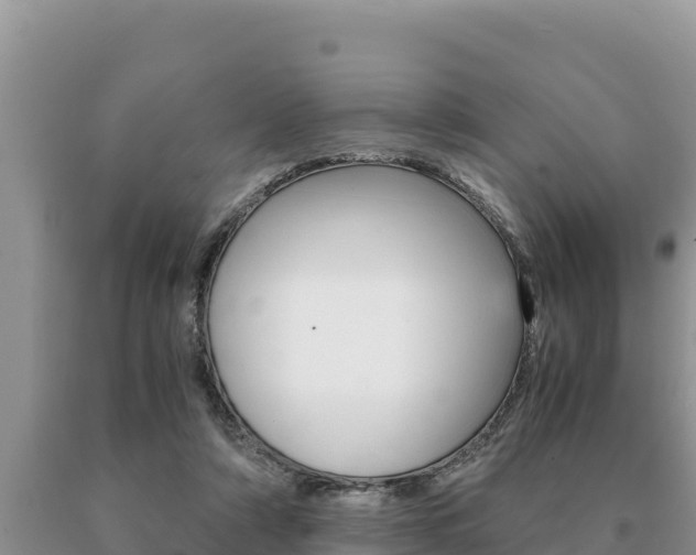 X0000091080306200708061052
