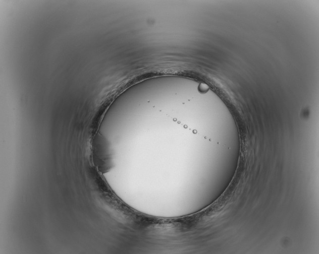X0000091080307200708061052