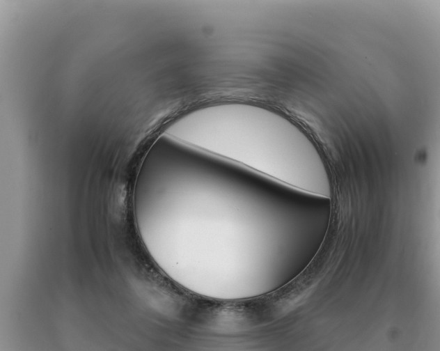 X0000091080308200708061052