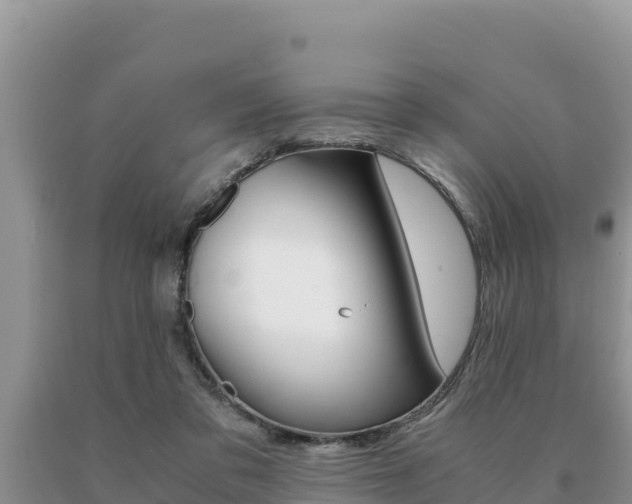 X0000091080309200708061052