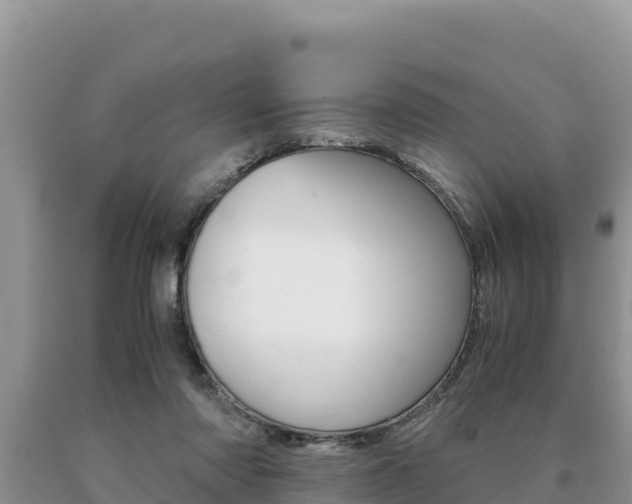 X0000091080310200708061052