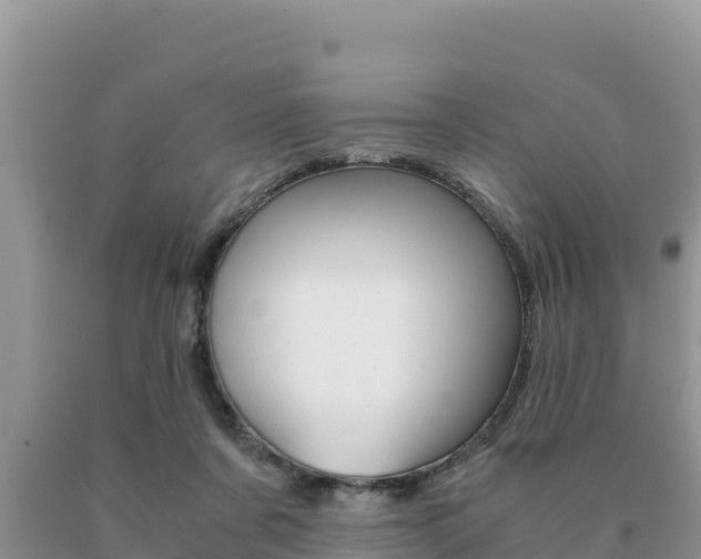 X0000091080311200708061052