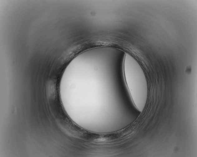 X0000091080312200708061052