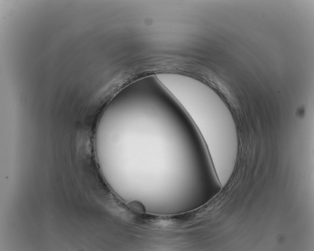 X0000091080313200708061052